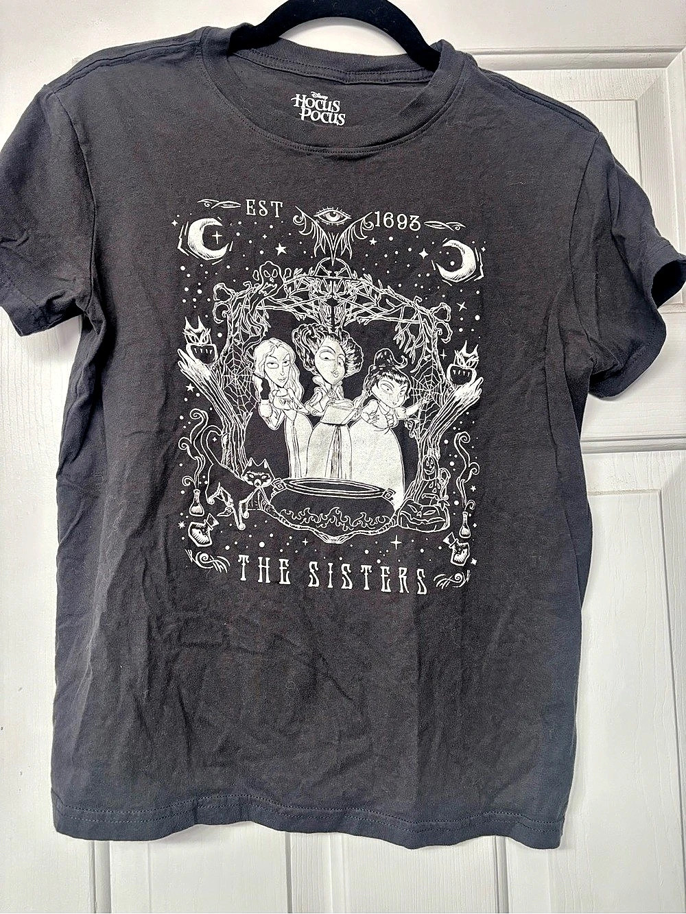 Disney Hocus Pocus The Sisters Est. 1693 Graphic Tee Small